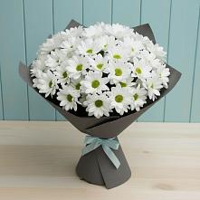 Букет цветов из:  Хризантемы в Автополигон