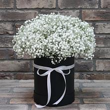 Цветочная композиция из Гипсофила в шляпной коробке #REPLACE_PRED# Автополигон